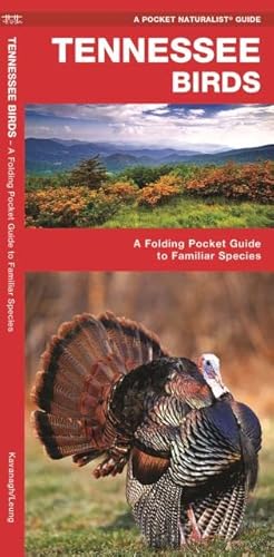 Tennessee Birds: A Folding Pocket Guide To Familiar Species (Wildlife And Nature Identification) #TOP17