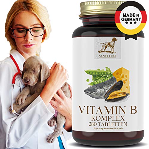 Vitamin B12 Hund Top 7 Modelle im Test!