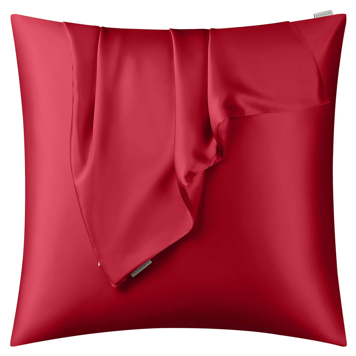 DISANGNI 100% Natural Mulberry Silk Pillow case for Hair and Skin with Hidden Zipper 22 Momme Both Sides Real Silk Pillow Case (1pc 60x60cm, Red)