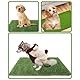 Hundeklo welpentoilette,45 * 60cm Kunstrasen Hundeklo,Hundetoilette für Kleine Hunde Wiederverwendbar Waschbar,Hundeklo Hundetoilette,Trainingsunterlage für zuhause,Balkon,Rasen