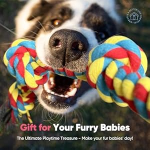 Petbobi Dog Ropes for Aggressive Chewers  2 Pcs Indestructible Dog Chew Toys 100 Cotton Tug of War Rope Dog Toy for Small Medium Dogs Interactive Dog Rope Toy for Teeth Cleaning  Cucciolini Doodles Petbobi dog ropes for aggressive chewers  2 pcs indestructible dog chew toys 100 cotton tug of war rope dog toy for small medium dogs interactive dog rope toy for teeth cleaning   cucciolini doodles