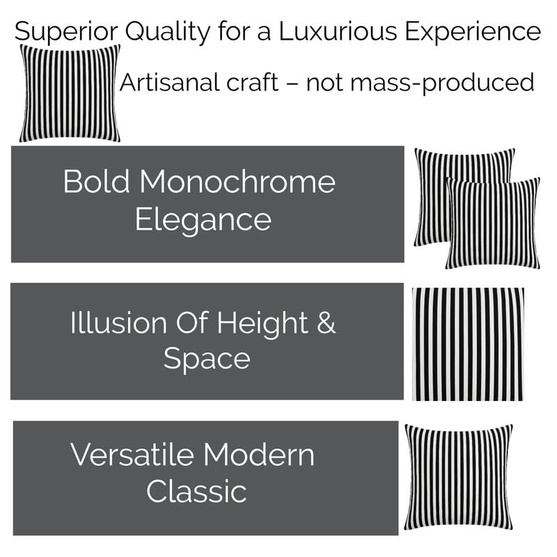 Image of WWW.THROWPILLOW.IN Black and White Striped Cushion Cover, Premium Decor Fabric, Smooth Black and White Pattern, Modern Cushion, Minimalist Sofa Accent Pillowcase Square Sofa Cushion 16x16 Inches