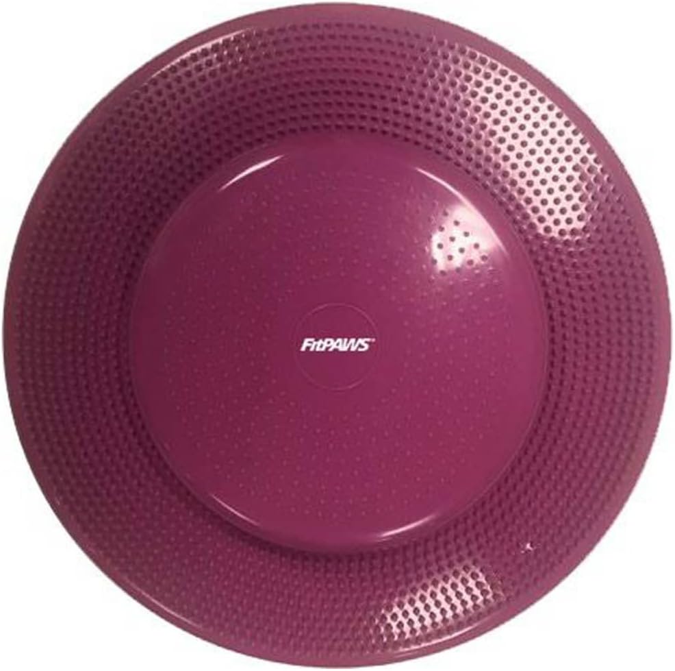 22" FitPAWS® Dog Training/Rehabilitation Balance Disc, Razzleberry