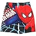 Marvel Comics Boys Spiderman Swim Bottom Trunks (Blue, 5/6)