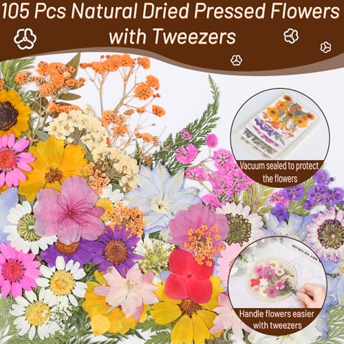 Image of Dried Pressed Flowers for Resin, Real Pressed Flowers Dry Leaves Bulk Natural Herbs Kit for Scrapbooking DIY Art Crafts Epoxy Resin Jewelry Mold Candle Soap Making Nails Decor (Natrual Floral Leaves)