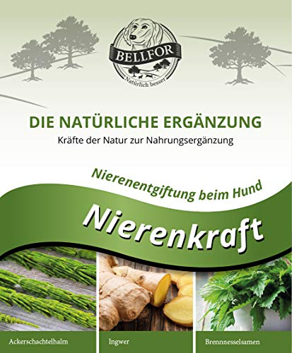 Bellfor Nierenkraft Pulver für Hunde 80g – Natürliches Ergänzungsfuttermittel zur Unterstützung der Nierenfunktion mit Ackerschachtelhalm
