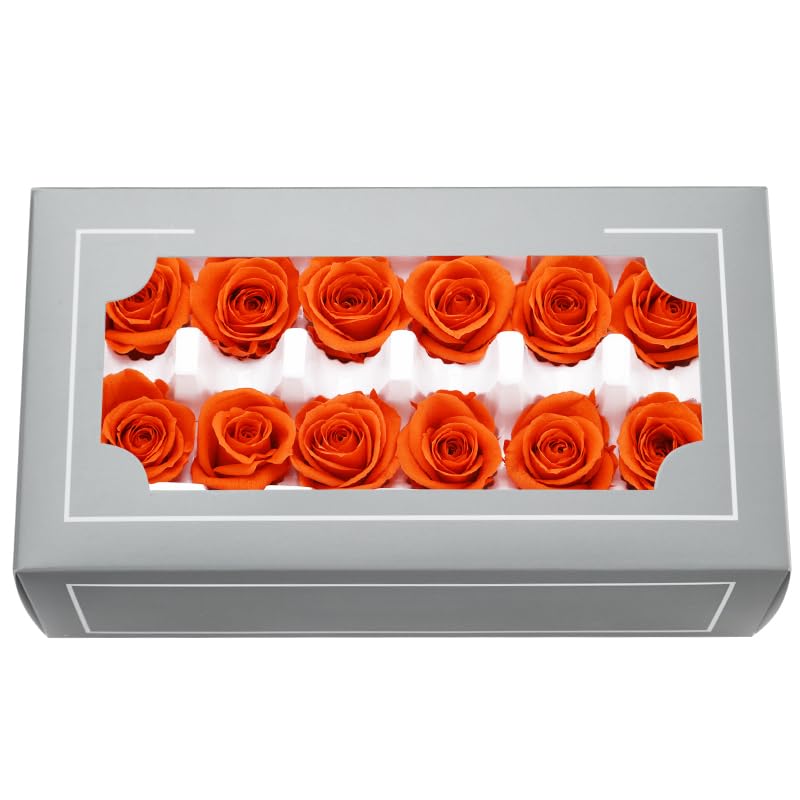 DorphyRoses Top-Grade 3-4cm Preserved Rose Head, True Natural Rose Last For 3-5 Years,Home Decoration, Festival Gifts, Essential For DIY,Zero Maintenance, Eco-Friendly (Orange)