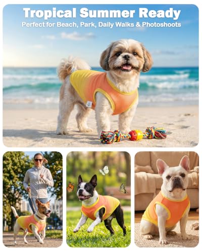 Image of CuteBone Ombre Dog Tank Top for Small Dogs, Cats - Tropical Summer Pet Vest - Breathable Ice Silk Cooling Shirt - Sun Protection, Photo, Casual Play, Walks