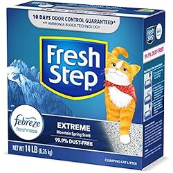 fresh step lightweight unscented