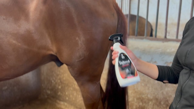 Spray Districante Wild Horses Per Crini E Coda Cavalli - Azione Idratante, Senza Risciacquo | Made In Italy, 500 Ml - Foto 8