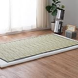 萩原 洗える い草風カーペット 柳 やなぎ グリーン 江戸間1畳 約87X174cm 柄上敷き 花ござ ラグ 和柄