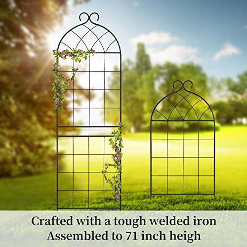 Scendor 1 Pack Garden Trellis 71" H X 19.7" W For Climbing Plants Support Rustproof Metal Iron Rose Trellis For Vines Flower Cucumbers Plant Stand Black #TOP3