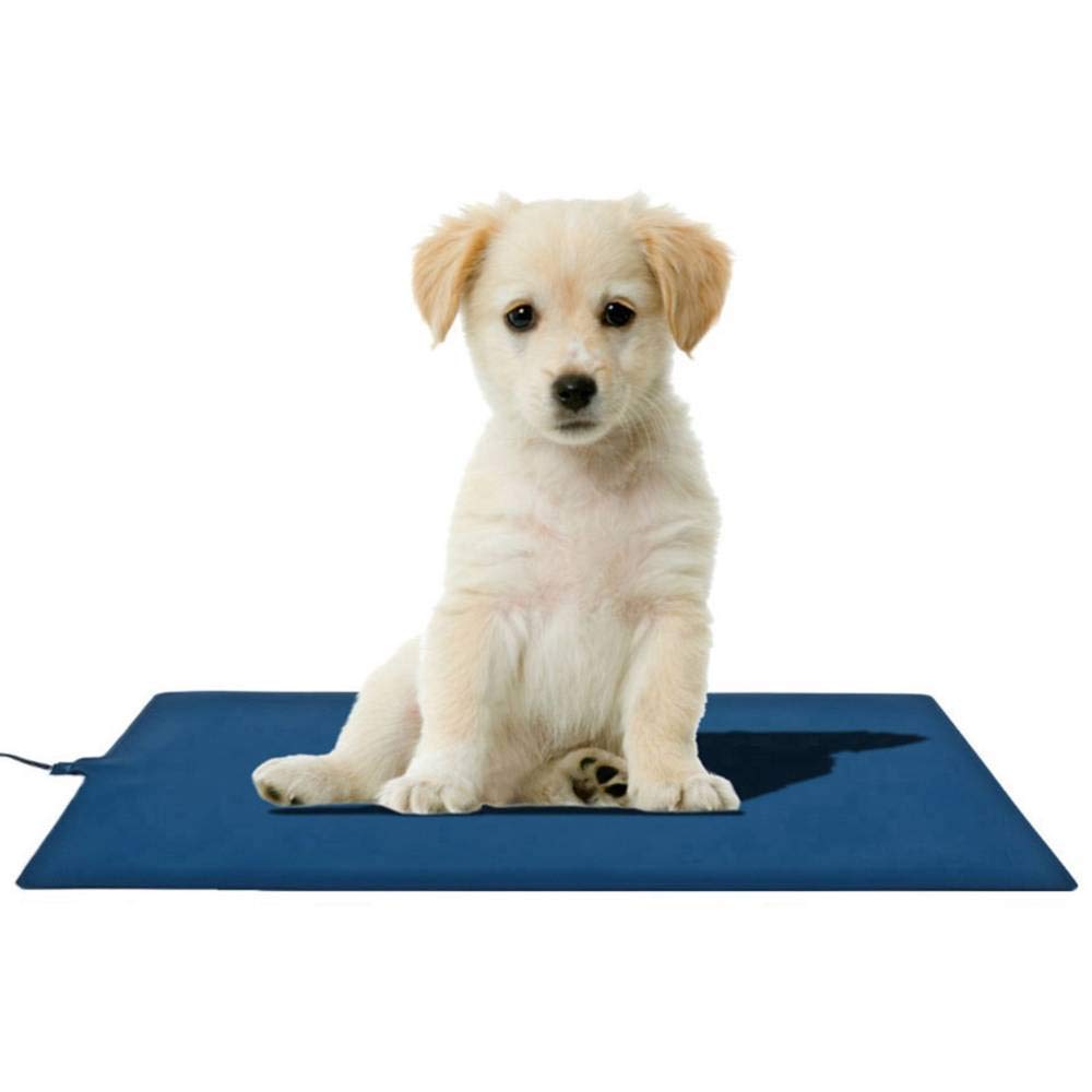 Mat4Pet 464365 - Tappetino riscaldante 500 mm x 300 mm, colore: blu