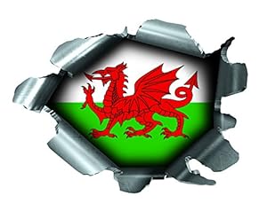 Bits4Reasons Walisische Flagge Aufkleber