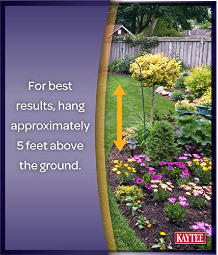 Kaytee Woodpecker Treat Bar, 11-Ounce - Image 8