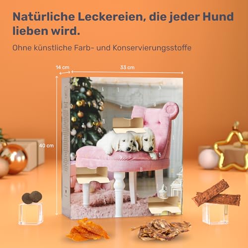 BOXILAND® Hunde Adventskalender 2025 [MIT 24 LECKERLIES] – Weihnachtskalender Geschenk – Geschenkidee Hunde (Hergestellt in DE)