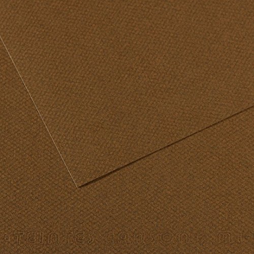 Lame Canson Mi-Teintes 55 x 75 cm abeille 160g papier dessin au grain nid d'abeille