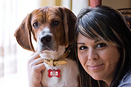 Dynotag® Web Enabled Super Pet Id Smart Tag With Dynoiq™ & Lifetime Recovery Service. Play Series: Bone (Home Is Where My Dog Is) #TOP6