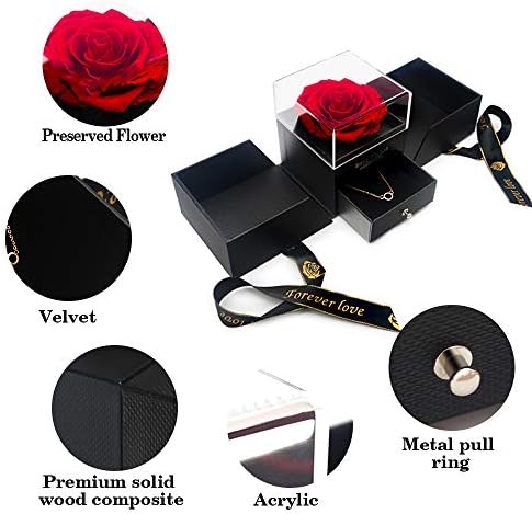 E-MANIS Beauty and the Beast Rose Handmade Preserved Rose Jewelry Gift Box Never Wilted Roses Eternal Flower for Lover Gift for Her on Valentine's Day Mother's Day Christmas Day