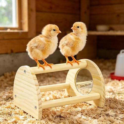 Image of Pine Chicken Perch with Mirror, Strong Chick Jungle Gym Roosting Bar, Chicken Toys for Coop and Brooder, Training Perch Toys for Large Bird, Parrot, Macaw, Hens (Small)