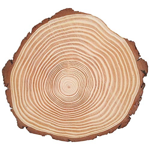 Trozos de Madera Natural con Corteza, Círculos Irregulares de Madera sin Acabado, Grosor 2 cm - Material Resistente, Perfectos para Manualidades y Decoración DIY (29 * 26)