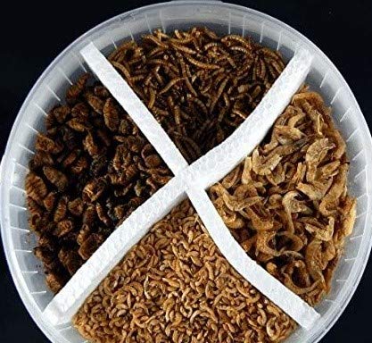 Teichfutter Koifutter Koi-Naturfutter- Menü 5 L Eimer 4 Kammern getrocknete Bachflohkrebse Mehlwürmer, Shrimps, Seidenraupen