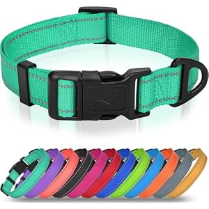 Joytale Small Dog Collar, Durable Double-Sided Reflective Nylon Collar for Night Safety, Adjustable Quick-Release for Active Breeds, Teal, S (3/4" Width)
