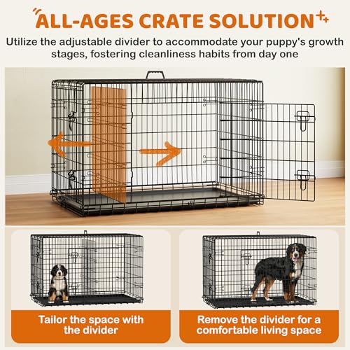 Image of Yaheetech 48in Double Door Metal Dog Crate w /Divider for Puppy Indoor Use | Heavy-duty Sturdy Metal Frame, Easy Assemble, Fold Up for Travel, Removable Tray, Ideal for Puppies, Medium to Large Dogs