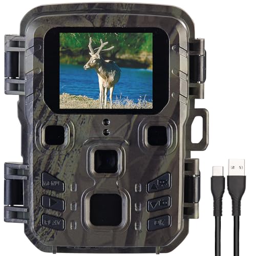 VisorTech Wildcamera: 4K-Wildkamera mit PIR-Sensor, Nachtsicht, 6 Monate Stand-by, IPX5 (Mini...