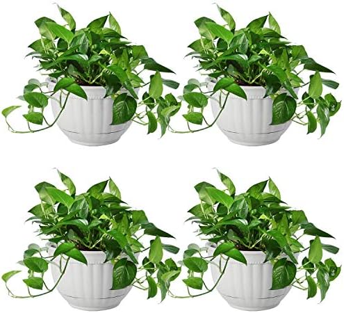 T4U Resin Wall Planter Marble Gray Set of 4, Wall Mounted Garden Plant Flower Pot Basket Container Indoor Outdoor Use for Orchid Herb Aloe Succulent Cactus Home Office Porch Wall Decoration Gift