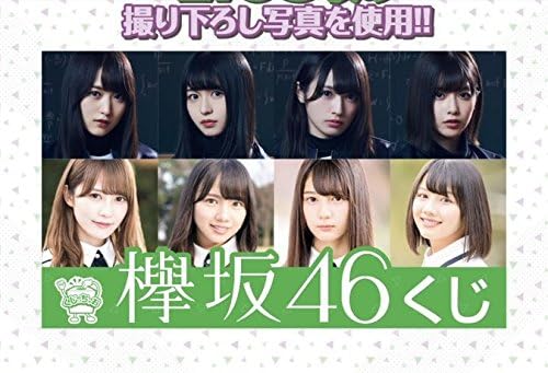 Amazon くじっちゃお 欅坂46くじ ローソン限定 A賞 Bigクッション けやき坂46 アイドル 芸能人グッズ 通販