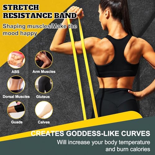 Image of Exercise Bands Resistance Bands for Working Out,Pull Up Bands Set,at Home Workout Equipment,Workout Bands for Men and Women,Stretch Bands for Exercise