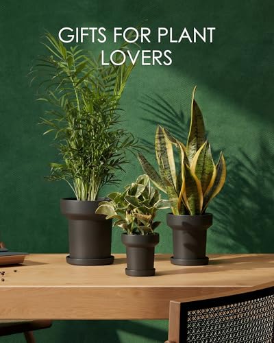  Plant Pots Indoor with Drainage Holes- Set of 3  - image 5