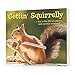 Collections Etc Getting' Squirrelly A Day In The Life Hardcover Book