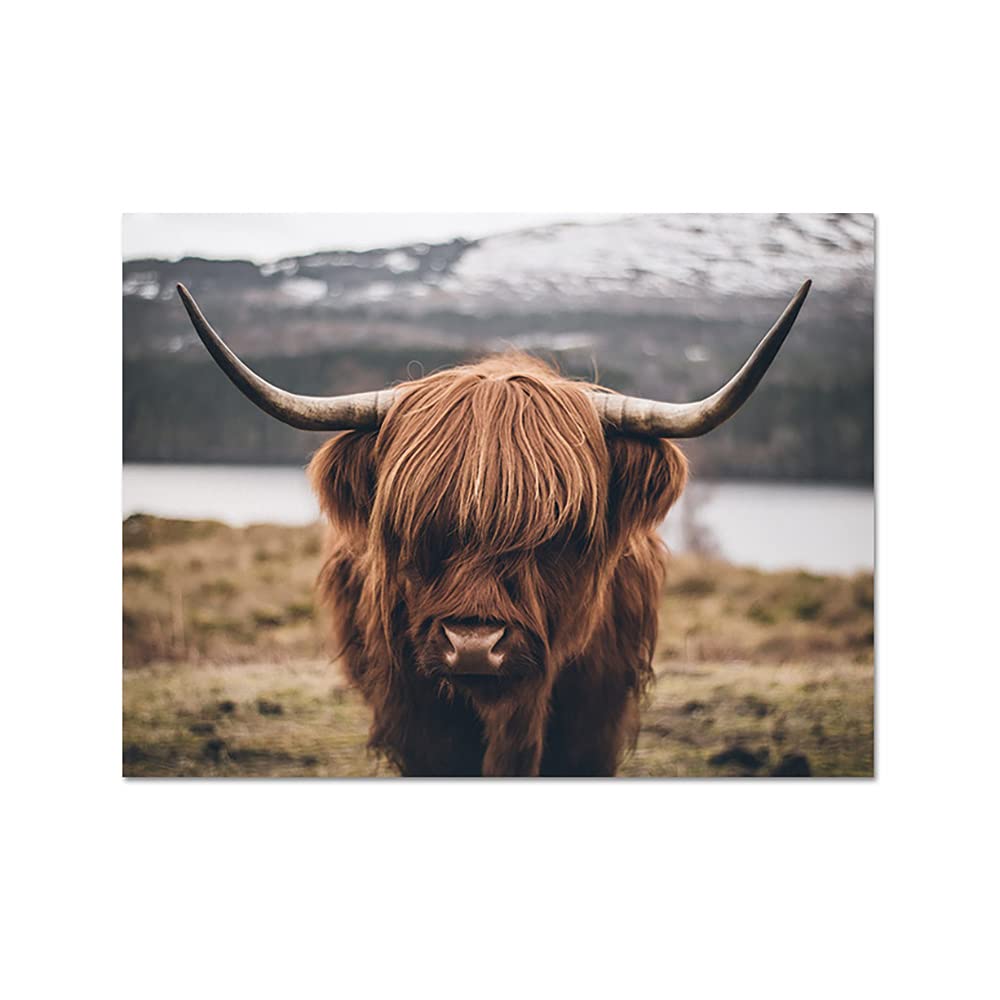 Toile Vache des Highlands 60x90 cm pour créer une ambiance chalet cosy dans votre salon