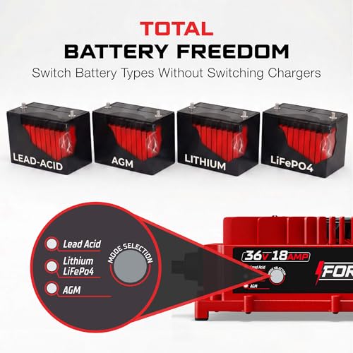 FORM 36V Charger for EZGO