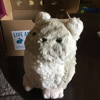 Amazon.co.jp: Purrble-パーブル 心を落ち着かせてくれるコンパニオン