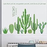 Maydahui Cactus Wall Decals, Green Succulent Plant Wall Vinyl Stickers, (25 x 37 Inch) Peel & Stick