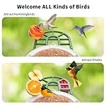 Bird Feeder with Camera with AI Identify Birds Species Solar Panel, Smart Bird House with Cam, 2K Live View, Instant Arrival Alerts - Image 4