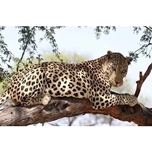 Broderie diamond painting complet guépard strass cristal haute brillance toile 60x120cm