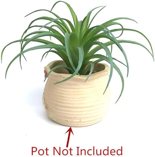 Miniatura 8 de Plantas suculentas artificiales, plantas de aire de Tillandsia, plantas de aire falsas, arreglos de ramo para decoración del jardín del hogar