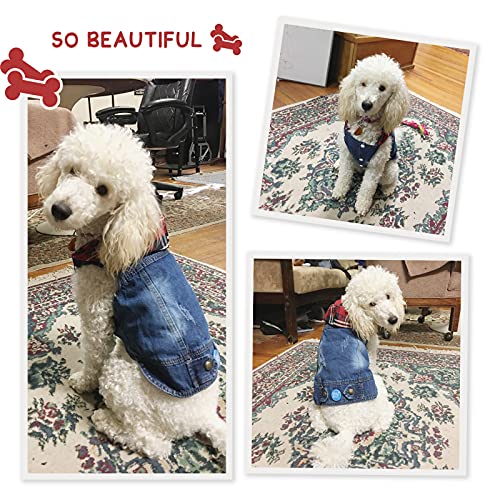 Ymond Dog Jean Jacket Puppy Denim T-Shirt, Machine Washable Lapel Vests, Cool Dog Clothes, Comfort And Cool Pet Apparel For Small Medium Dogs And Cats (Hat + Button, Xl) #TOP5