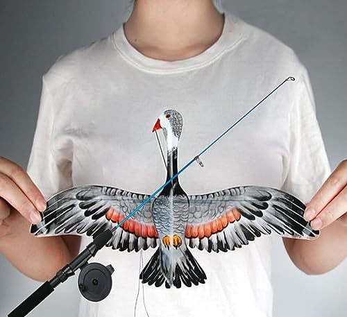 g JCg S҂Ɍ ŗg y JCg ^ 30mt ̃JCg ̓ v[g ̑ AEghA  r[`    