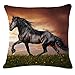 Dosige Funda de Lino,Fundas de Cojín,Almohada de patrón de Caballo Abrazo,Funda de Almohada para sofá Cama Sala de Estar Dormitorio decoración del hogar cuadradas Size 45 * 45cm (#1)