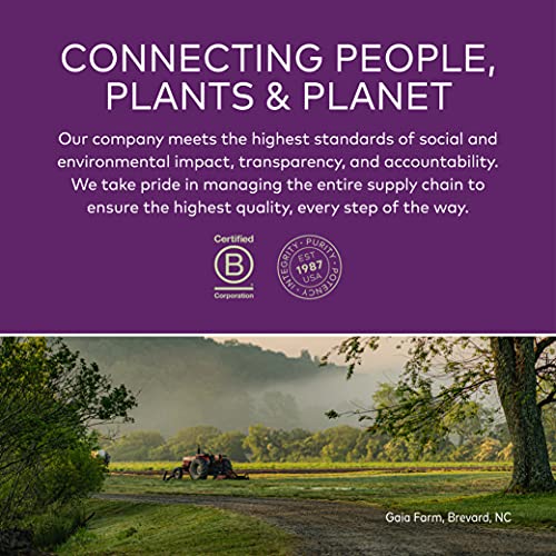 Gaia Herbs, Gaiakids Bronchial Wellness Syrup, Immune Health, Soothing Throat And Respiratory Support, Organic Honey Lemon Flavor, Physician Formulated, 3 Fluid Ounces #TOP3