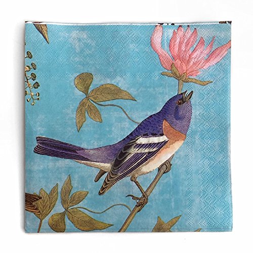 Colored-Paper-Napkins-20-Count-Shabby-Chic-Napkins-for-Wedding-Dinner-Tea-Party-Shower-Floral-Birds-Retro-Vine Colored Paper Napkins 20 Count Shabby Chic Napkins for Wedding Dinner Tea Party Shower Floral Birds Retro Vine