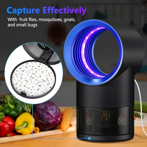 Image of Fruit Fly Trap for Indoors, Fly Traps for Home Gnat Traps House Indoor, Indoor Insect Trap with Timer, Pack of 10 Refills (Blue)