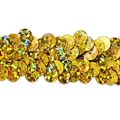 Trims by the Yard 2-Row Starlight Hologram Sequin Stretch Trim, 7/8-Inch Versatile Sequins for Crafts, Durable Sequin Trim for Costumes, Fashion, and Home Decor, 20-Yard Cut, Gold