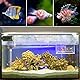 Aquarium Fische Brutkasten 2 Stück Aquarium Isolation Netz Ablaichkasten Fischzuchtkasten mit Saugnapf, Aquarium Züchter Trennnetz für Baby Fisch, 26 x 15cm