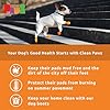 PawZ Rubber Dog Boots for Small Paws - All-Weather Waterproof Dog Shoes, Anti-Slip Traction for Rain, Snow, Mud & Hot Pavement - Pull-On Dog Booties, Black - X-Small (1.5"-2") - Pack of 12